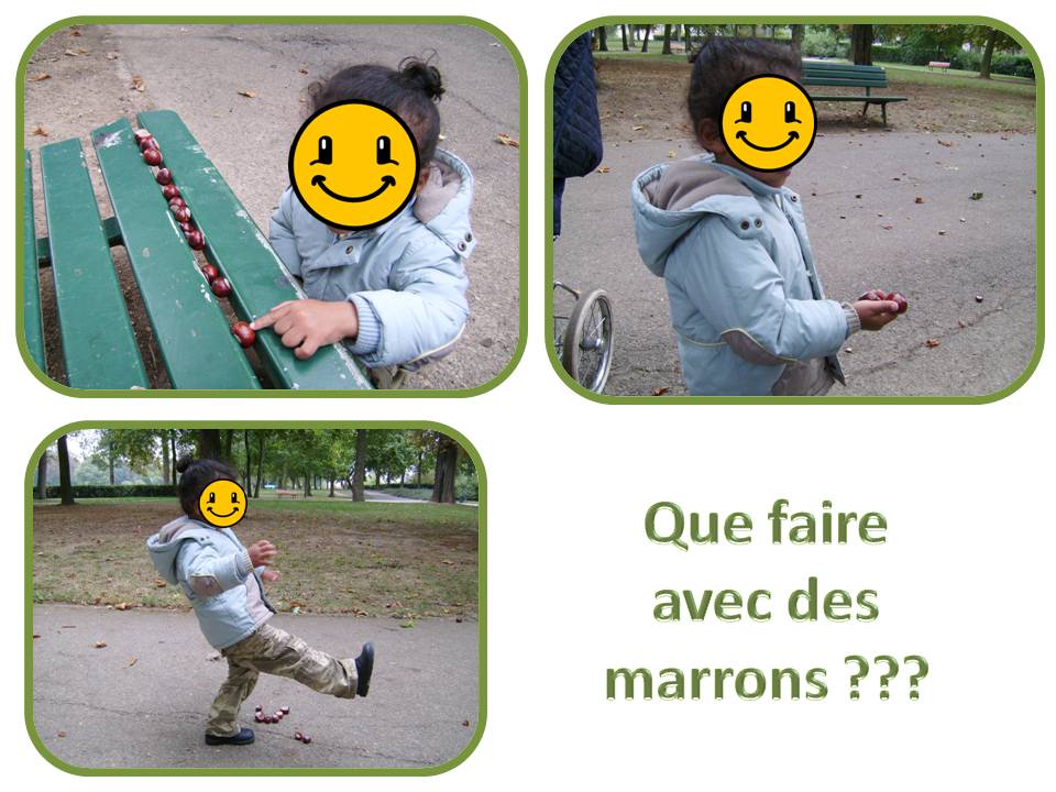 que faire avec des marrons que faire avec des marrons centerblog que faire avec des marrons que faire avec des marrons centerblog